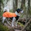 Feel Active Drammen Hundegenser Oransje 2 Feel Active Drammen Hundegenser Oransje -Kjæledyrutstyr Salgsbutikk feel active drammen hundtroja orange c6
