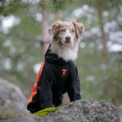 Feel Active Helsingborg Hundoverall Refleks Svart & Orange 12 Feel Active Helsingborg Hundoverall Refleks Svart & Orange -Kjæledyrutstyr Salgsbutikk feel active helsingborg hundoverall reflex svart orange 07