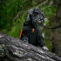 Feel Active Helsingborg Hundoverall Refleks Svart & Orange 13 Feel Active Helsingborg Hundoverall Refleks Svart & Orange -Kjæledyrutstyr Salgsbutikk feel active helsingborg hundoverall reflex svart orange 26