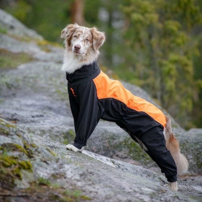 Feel Active Helsingborg Hundoverall Refleks Svart & Orange 3 Feel Active Helsingborg Hundoverall Refleks Svart & Orange