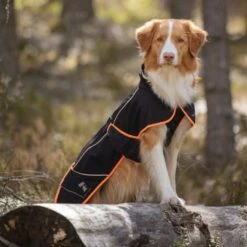 Feel Active Kiruna Regnjakke -Kjæledyrutstyr Salgsbutikk feel active kiruna regnjacka svart cd