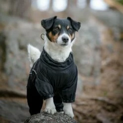 Feel Active Nimble Hundeoverall Svart -Kjæledyrutstyr Salgsbutikk feel active nimble hundoverall svart 97