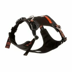 Feel Active Outdoor Hundsele Med Lomme Svart -Kjæledyrutstyr Salgsbutikk feel active outdoor hundsele med ficka svart 5d