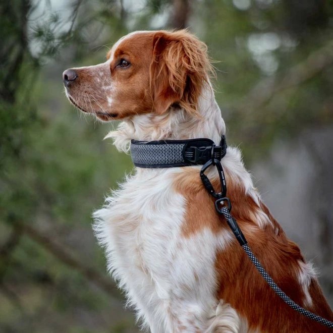 Feel Active Reflective Halsbånd Svart 4 Feel Active Reflective Halsbånd Svart - Bilde 2