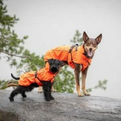 Feel Active Reflective Regnjakke Oransje -Kjæledyrutstyr Salgsbutikk feel active reflective regnjacka orange 0f