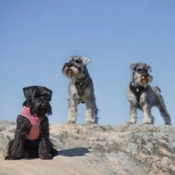 Feel Active Soft Hundesele Kamuflasje -Kjæledyrutstyr Salgsbutikk feel active soft sele kamo a2