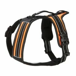 Feel Active Sport Sele Orange