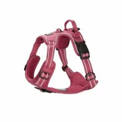 Feel Active Training Hundesele Vinrød 7 Feel Active Training Hundesele Vinrød -Kjæledyrutstyr Salgsbutikk feel active training vadderad sele rod 17