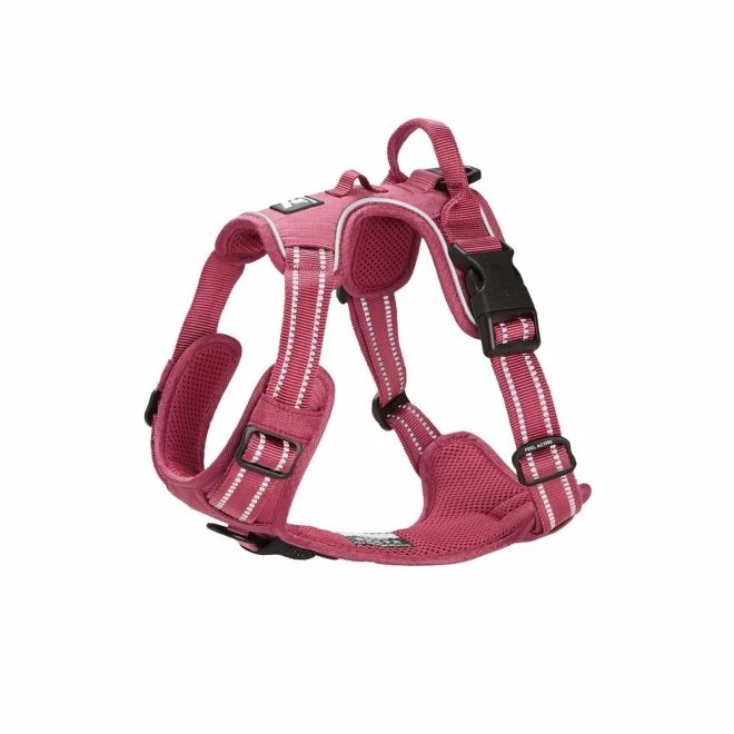 Feel Active Training Hundesele Vinrød 5 Feel Active Training Hundesele Vinrød - Bilde 3