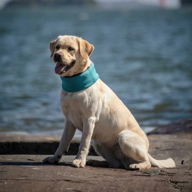 Feel Active XTR Kjøleskjerf Turkis 3 Feel Active XTR Kjøleskjerf Turkis