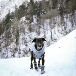 FinNero Halla Fleece Boots Grå 4-pakk -Kjæledyrutstyr Salgsbutikk halla fleecetossut harmaa xl az b7