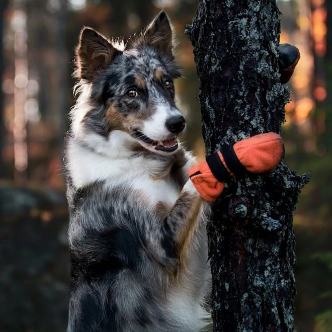 FinNero Halla Fleece Boots Oransje 4-pakk 5 FinNero Halla Fleece Boots Oransje 4-pakk - Bilde 3