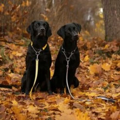 Tyylivoitto Shine EAZY Reflekskobbel Svart 19 Mm -Kjæledyrutstyr Salgsbutikk heijastintalutin tyylivoitto shine eazy musta az cb