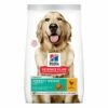Hill's Science Plan Dog Adult Perfect Weight Large Breed Chicken 12 Kg -Kjæledyrutstyr Salgsbutikk hill39s perfect weight large breed chicken 12kg 63