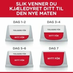 Hill's Science Plan Dog Adult Medium Chicken -Kjæledyrutstyr Salgsbutikk hills adult chicken medium 3f