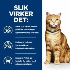 Hill's Prescription Diet Feline C/d Urinary Care Multicare Chicken 12x85 G -Kjæledyrutstyr Salgsbutikk hills diet cat c d chick pouch 12x85g 2b