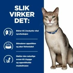 Hill's Prescription Diet Feline K/d Kidney Care Chicken 12x85 G -Kjæledyrutstyr Salgsbutikk hills diet cat k d chicken pouch12x85g 20