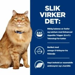 Hill's Prescription Diet Feline K/d J/d Kidney + Mobility Chicken -Kjæledyrutstyr Salgsbutikk hills diet cat k d mobility 2kg e3
