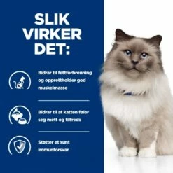 Hill's Prescription Diet Feline R/d Weight Loss Chicken -Kjæledyrutstyr Salgsbutikk hills diet cat r d 15kg 82