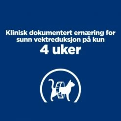 Hill's Prescription Diet Feline R/d Weight Loss Chicken -Kjæledyrutstyr Salgsbutikk hills diet cat r d 15kg f6