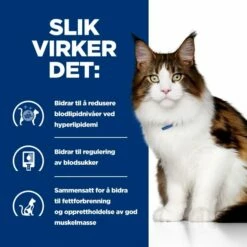 Hill's Prescription Diet Feline W/d Multi Benefit Chicken -Kjæledyrutstyr Salgsbutikk hills diet cat w d 15kg a3