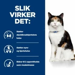 Hill's Prescription Diet Feline Y/d Thyroid Care Original 13 Hill's Prescription Diet Feline Y/d Thyroid Care Original -Kjæledyrutstyr Salgsbutikk hills diet cat y d 15kg f9