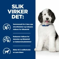 Hill's Prescription Diet Canine C/d Urinary Care Multicare Chicken -Kjæledyrutstyr Salgsbutikk hills diet dog c d multicare 2kg 68