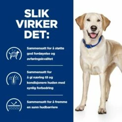 Hill's Prescription Diet Canine D/d Food Sensitivities Duck & Rice -Kjæledyrutstyr Salgsbutikk hills diet dog d d duck rice 2kg e0