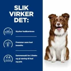 Hill's Prescription Diet Canine Derm Defense Environmental Sensitivites Chicken -Kjæledyrutstyr Salgsbutikk hills diet dog derm defense 2kg 2c