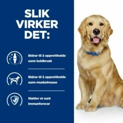 Hill's Prescription Diet Canine J/d Mobility Chicken -Kjæledyrutstyr Salgsbutikk hills diet dog j d 2kg 7a