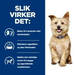 Hill's Prescription Diet Canine K/d Kidney Care Original -Kjæledyrutstyr Salgsbutikk hills diet dog k d 2kg 5e