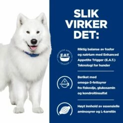 Hill's Prescription Diet Canine K/d + Mobility Kidney + Joint Care Original -Kjæledyrutstyr Salgsbutikk hills diet dog k d mobility 12kg 1a