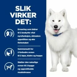 Hill's Prescription Diet Canine K/d + Mobility Kidney + Joint Care Original -Kjæledyrutstyr Salgsbutikk hills diet dog k d mobility 12kg ce