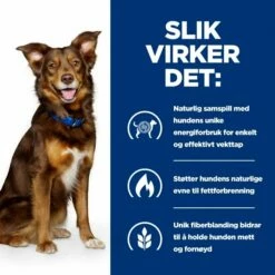 Hill's Prescription Diet Canine Metabolic Weight Loss & Maintenace Chicken -Kjæledyrutstyr Salgsbutikk hills diet dog metabolic 1 5kg 4f
