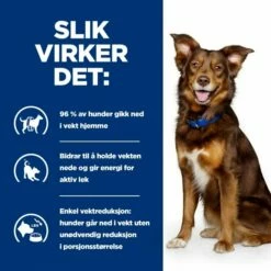 Hill's Prescription Diet Canine Metabolic Weight Loss & Maintenace Chicken -Kjæledyrutstyr Salgsbutikk hills diet dog metabolic 1 5kg 99