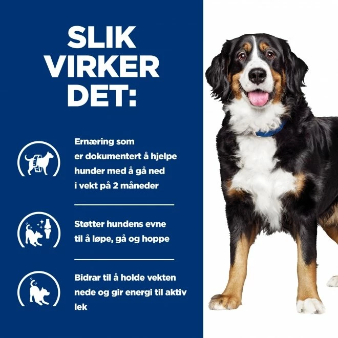 Hill's Prescription Diet Canine J/d Metabolic + Mobility Weight Chicken 6 Hill's Prescription Diet Canine J/d Metabolic + Mobility Weight Chicken - Bilde 4