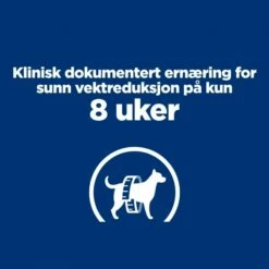 Hill's Prescription Diet Canine R/d Weight Loss Chicken -Kjæledyrutstyr Salgsbutikk hills diet dog r d 12kg 59