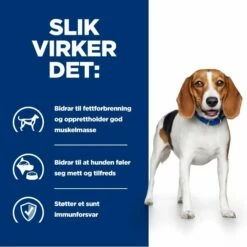 Hill's Prescription Diet Canine R/d Weight Loss Chicken -Kjæledyrutstyr Salgsbutikk hills diet dog r d 12kg 7e