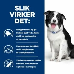 Hill's Prescription Diet Canine T/d Dental Care Chicken -Kjæledyrutstyr Salgsbutikk hills diet dog t d 10kg 2a