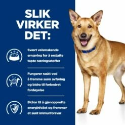 Hill's Prescription Diet Canine I/d Digestive Care Chicken 13 Hill's Prescription Diet Canine I/d Digestive Care Chicken -Kjæledyrutstyr Salgsbutikk hills i d dog food chicken az 95