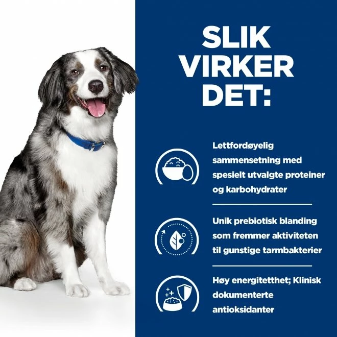 Hill's Prescription Diet Canine I/d Digestive Care Sensitive Egg & Rice 5 Hill's Prescription Diet Canine I/d Digestive Care Sensitive Egg & Rice - Bilde 3