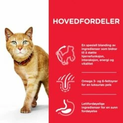 Hill's Science Plan Cat Mature Adult 7+ Senior Vitality Kylling & Ris -Kjæledyrutstyr Salgsbutikk hills science plan cat adult 7 youthful vitality chicken 6e