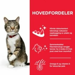 Hill's Science Plan Cat Adult Oral Care Chicken -Kjæledyrutstyr Salgsbutikk hills science plan cat adult oral care chicken 4f