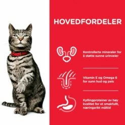 Hill's Science Plan Cat Adult Urinary Health Chicken -Kjæledyrutstyr Salgsbutikk hills science plan cat adult urinary sterilized 8b