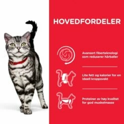 Hill's Science Plan Cat Adult Hairball & Indoor Chicken -Kjæledyrutstyr Salgsbutikk hills science plan cat hairball indoor chicken 6d