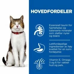 Hill's Science Plan Cat Mature Adult 7+ Chicken -Kjæledyrutstyr Salgsbutikk hills science plan cat mature 7 chicken 10