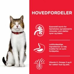 Hill's Science Plan Cat Mature Adult 7+ Chicken -Kjæledyrutstyr Salgsbutikk hills science plan cat mature 7 chicken 3f