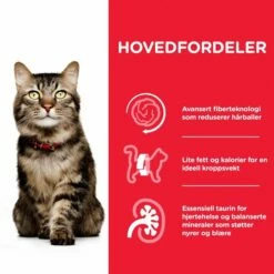 Hill's Science Plan Cat Mature Adult 7+ Hairball Indoor Chicken -Kjæledyrutstyr Salgsbutikk hills science plan cat mature 7 hairball chicken ba