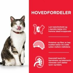 Hill's Science Plan Cat Mature Adult 7+ Light Chicken -Kjæledyrutstyr Salgsbutikk hills science plan cat mature 7 light chicken 7e