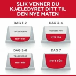 Hill's Science Plan Cat Mature Adult 7+ Sterilised Kylling -Kjæledyrutstyr Salgsbutikk hills science plan cat mature 7 sterilized chicken cf